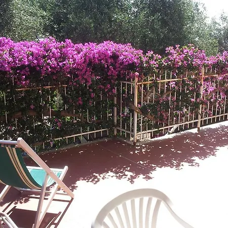 Appartamento Residenza Il Poggio San Bartolomeo Al Mare Camera foto